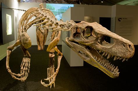 Herrerasaurus was one of the earliest dinosaurs. Its name means "Herrera's lizard", after ...