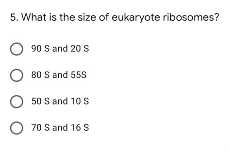 Image result for Scale Bar Magnification