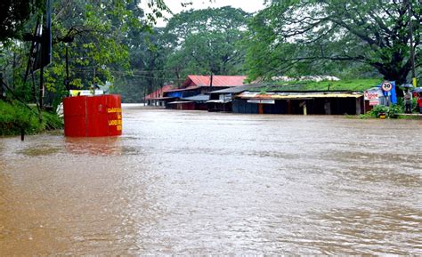 Karnataka rains: Flood alert issued in various districts amid incessant ...