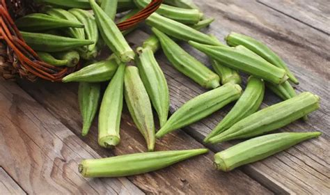 Benefits of Lady Finger (Bhindi) in Weight loss: रोजाना पिएं एक गिलास ...