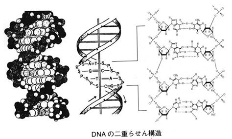 Image result for Loops Definition Computer Science
