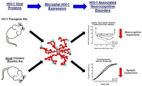 Viruses | Special Issue : Advances in Neurovirology