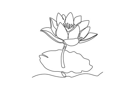 How To Draw A Lotus Flower For - Maxresdefault how to draw lotus flower