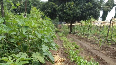 Petition · Focus on organic farming and save earth... - India · Change.org