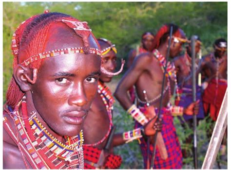 SATHEE: Chapter 05 Pastoralists in the Modern World