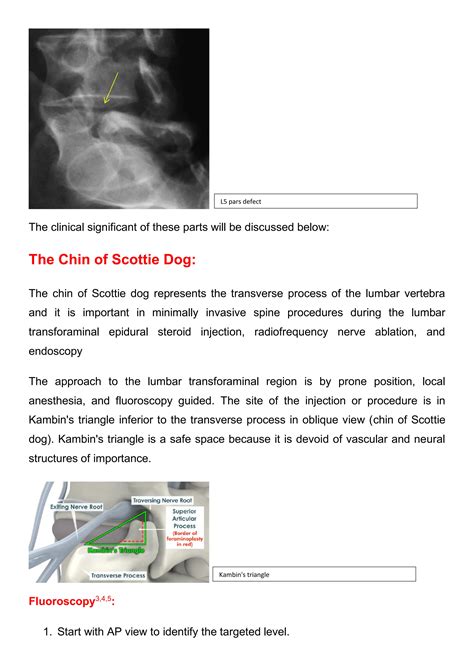 Scottie Dog Sign.pdf