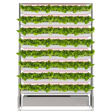 Image result for Opcom Farm