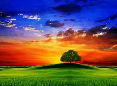 3d Wallpaper Nature Hd by 3d Wallpapers Hd 3d Nature Wallpapers Hd 3d Wallpaper Nature Hd