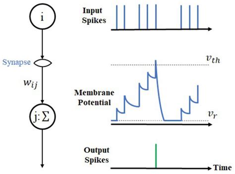 Accurate ECG Classification Based on Spiking Neural Network and ...