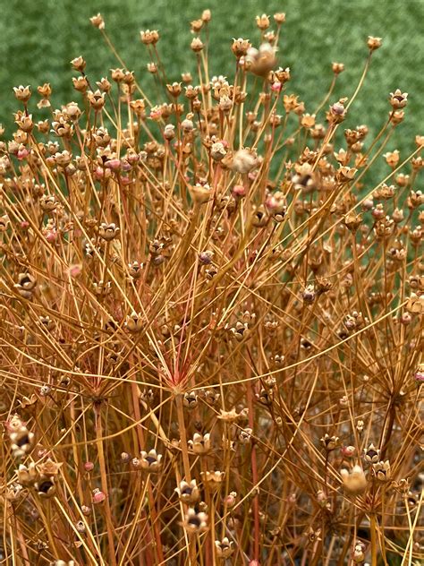 Nick Collins - Photography