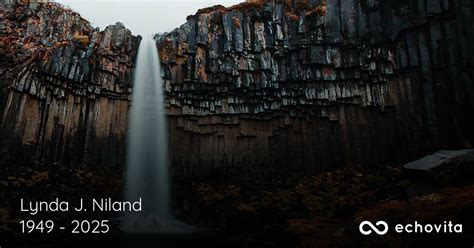 Lynda J. Niland Obituary (1949-2025) | Lockport, NY