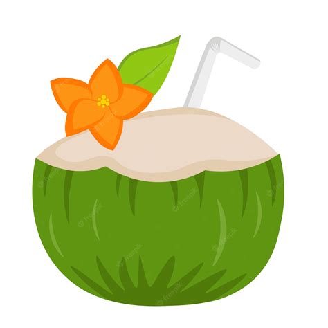 Coconut Clipart Images at Marc House blog
