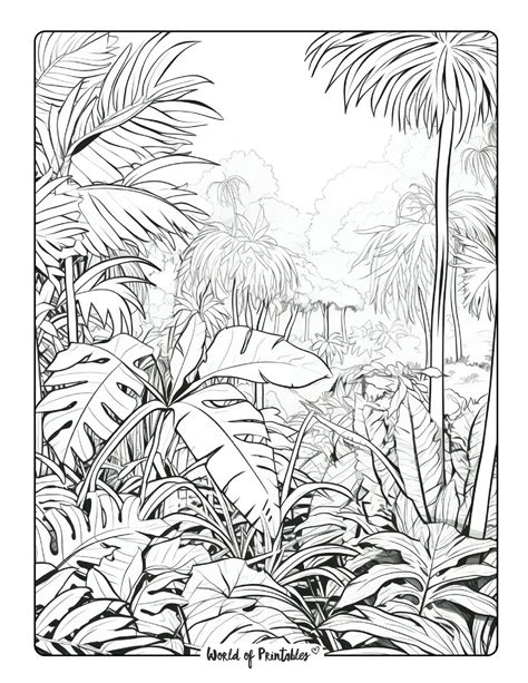 Free printable coloring pages jungle, Download Free printable coloring ...