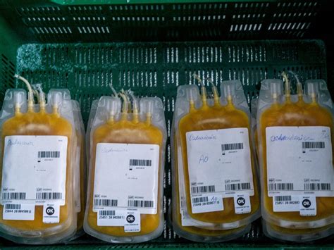 Why the U.S. allows companies to pay people for blood plasma : Planet ...
