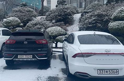 Object Detetion Algorithm Logo 的图像结果