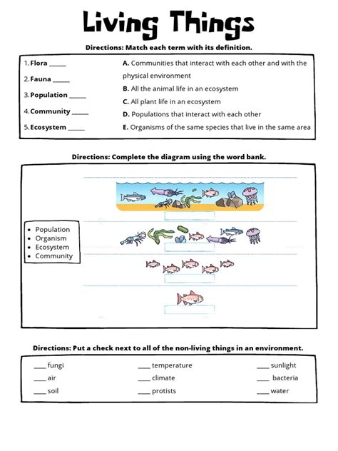 Ecosystem Worksheet 的图像结果