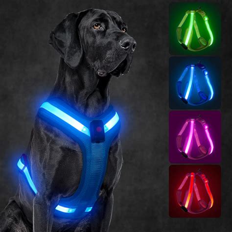 Amazon.com : KOSKILL Light Up Dog Harness,Led Dog Harness Rechargeable ...