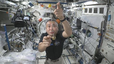 Human Flight Experiments 的图像结果