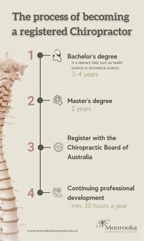 How to become a registered chiropractor