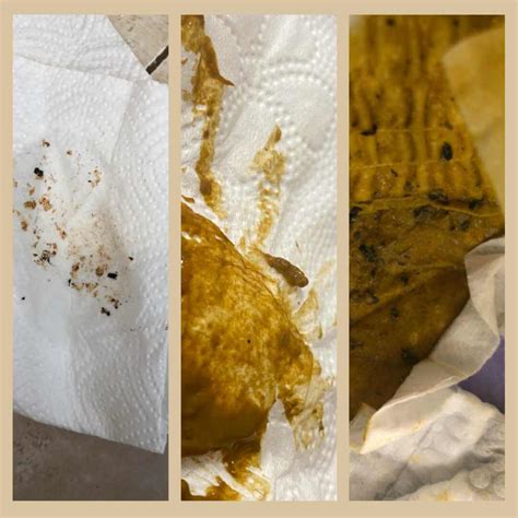 What Does Coffee Ground Stool Look Like at Harold Case blog