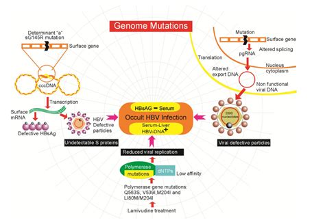 Occult HBV Infection: A Faceless Enemy in Liver Cancer Development