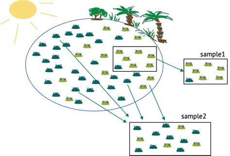 Freesciencelessons Sampling 的图像结果