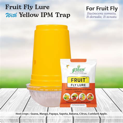 Yellow IPM Trap With Fruit Fly Lure - Pack of 10 - Green Revolution ...