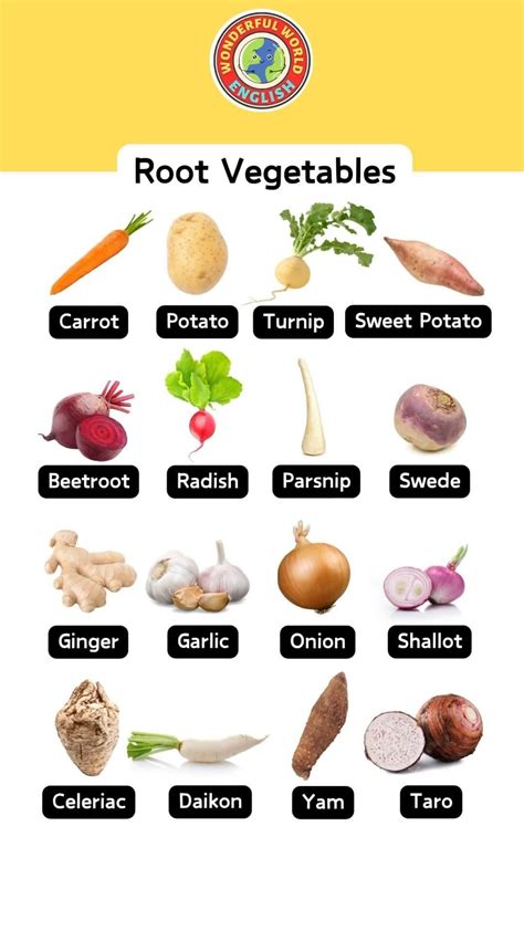 Root Vegetables: List of 20 Root Vegetables with ESL Picture! - ESL ...