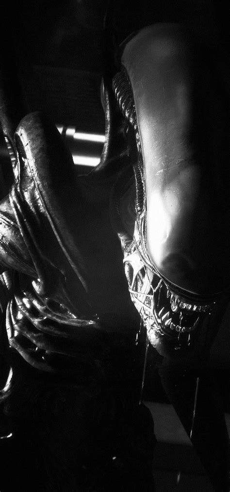 Image result for Alien Isolation 3D-models