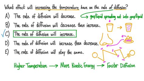 Rate Of Diffusion