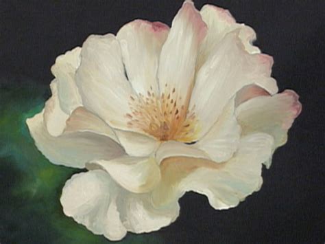 Series 1 of the highly acclaimed PBS Series " The Beauty of Oil Painting " with Gary and ...