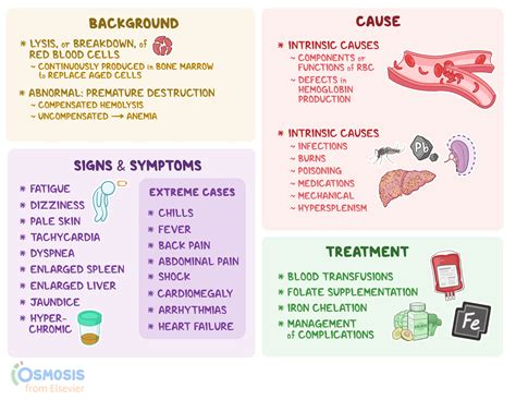 Hemolysis: What Is It, Types, Causes, and More | Osmosis