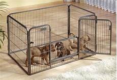 recinto per cani in casa recinti per cani i migliori 5 modelli qualit 224 prezzo il recinto per cani in casa recinti per cani i migliori 5 modelli qualit 224 prezzo il