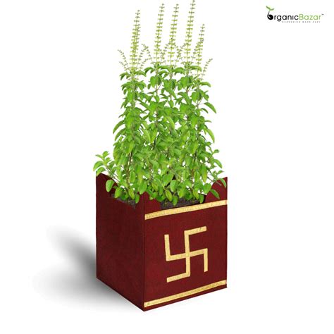 Geo Fabric 10x10 Grow Bag For Tulsi Plant (Tulsi Grow Bag)