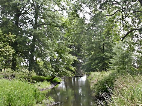 Troy Meadows – Wildlife Preserves