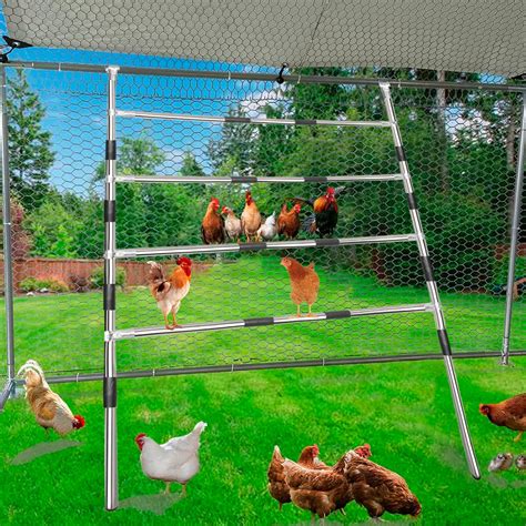 Amazon.com: Frebuta Chicken Coop Roosting Ladder(63'' L x 41'' W ...