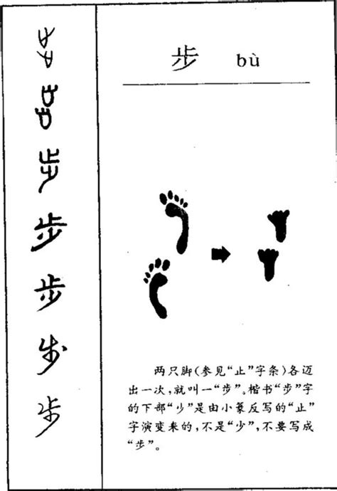 从古至今汉字演变500例(4) - 知乎