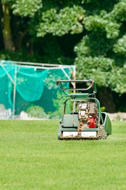 Image result for Cricket Cutter Machine