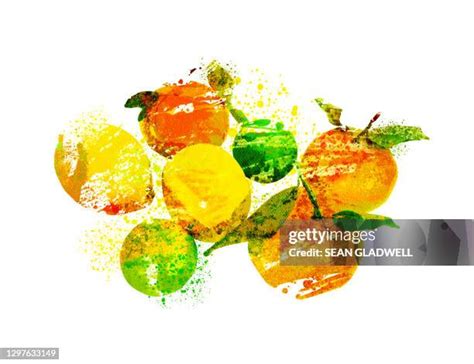 Image result for Lemon Rind Texture