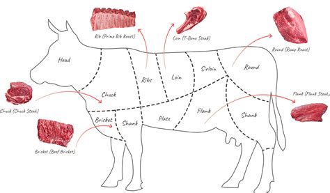 Beef Cuts