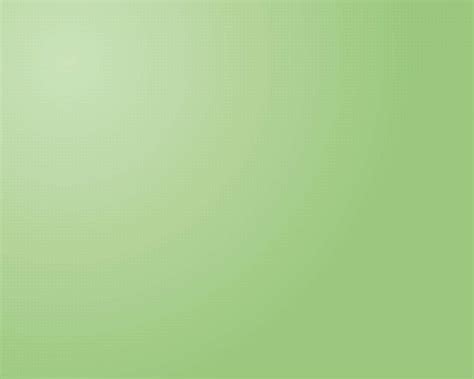 Download Light Green Background | Wallpapers.com