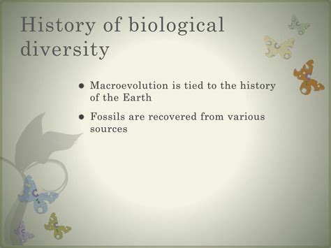 Image result for Macroevolution Fossils