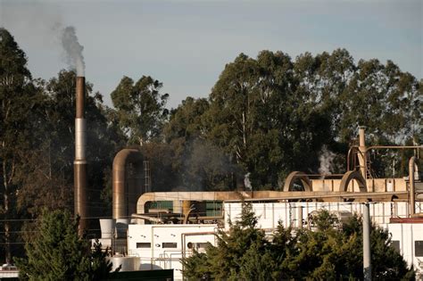 Chemical Waste Management | Safe & Responsible Disposal