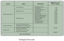 Type of Fossils and their Study Techniques - Botany Optional for UPSC PDF