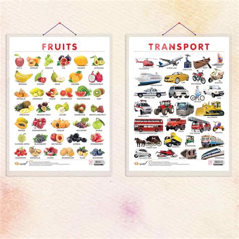GO WOO FRUITS CHART HARD LAMINATED and TRANSPORT CHART HARD LAMINATED ...