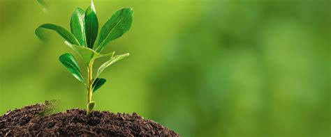 Energy Audit, Total Energy Solution, Certified Energy Auditors, EPC ...