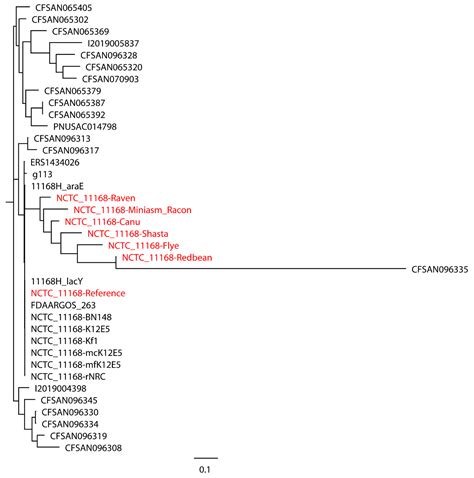 Benchmarking Long-Read Assemblers for Genomic Analyses of Bacterial ...