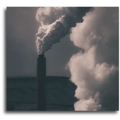 Environmental Samples 的图像结果