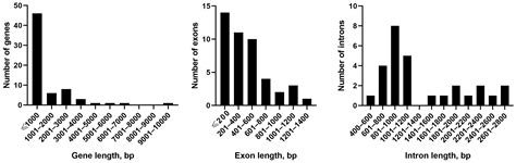 The Mitochondrial Genome of Nematodontous Moss Polytrichum commune and ...