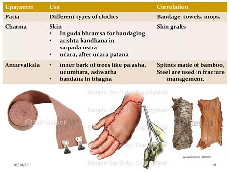 Species Of Udara